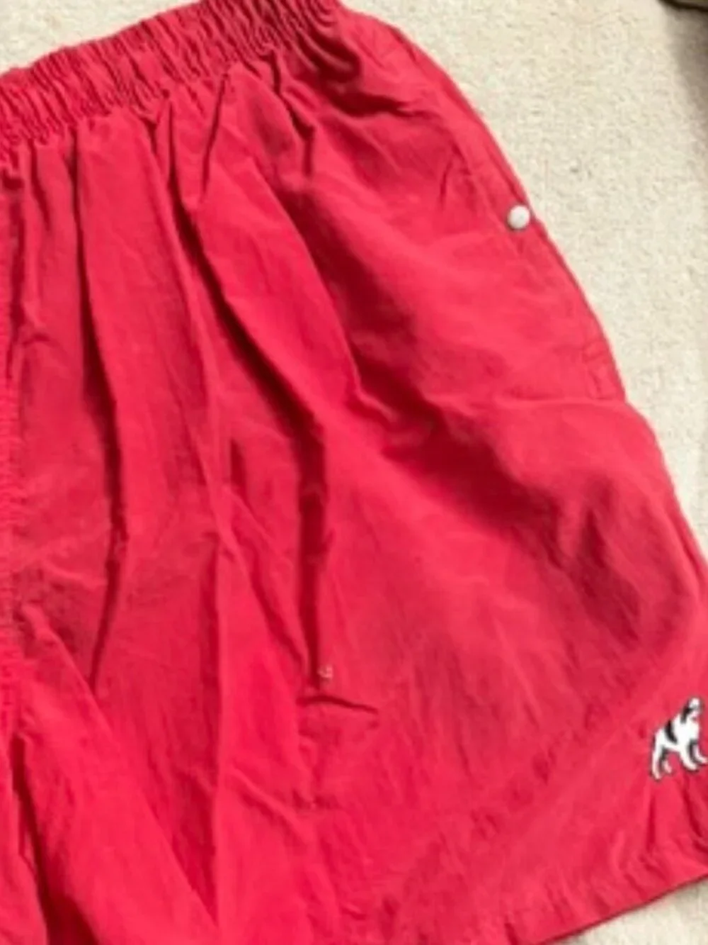 Big Dogs Swim Shorts